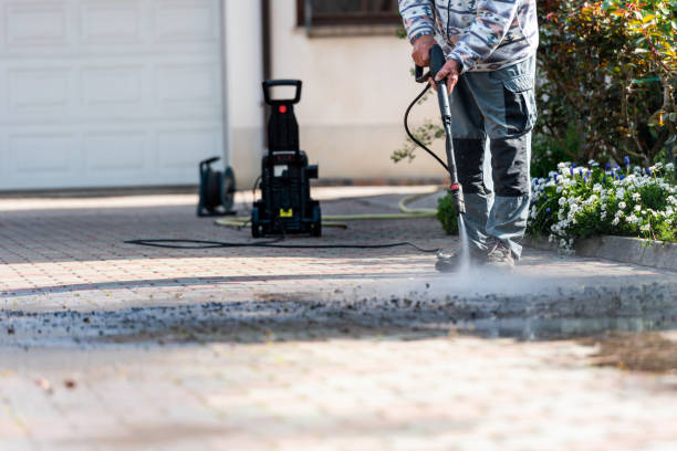 Best Affordable Pressure Washing  in Stewartville, MN