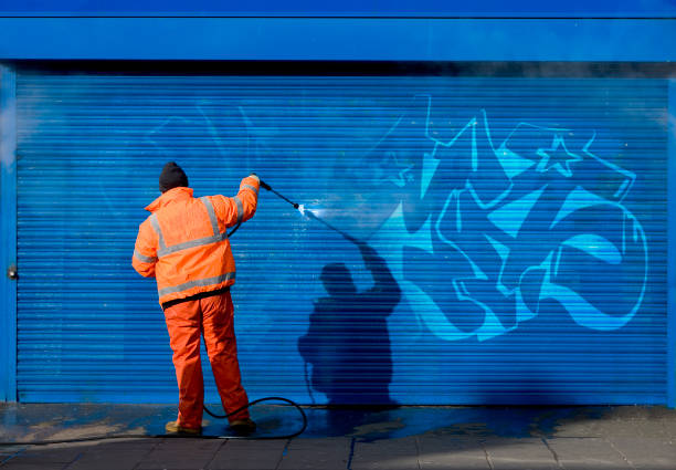 Best Best Pressure Washing Companies  in Stewartville, MN