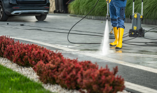 Best Affordable Power Washing  in Stewartville, MN