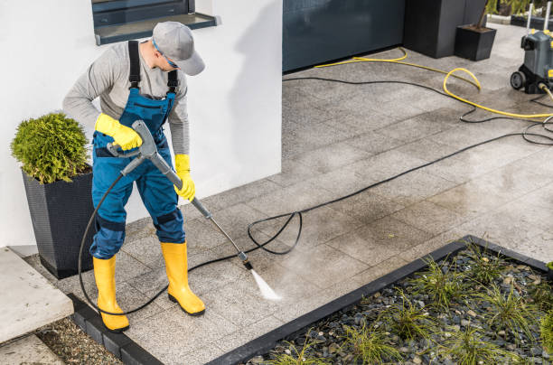 Best House Pressure Washing  in Stewartville, MN