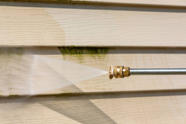 Roof Power Washing Services in Stewartville, MN