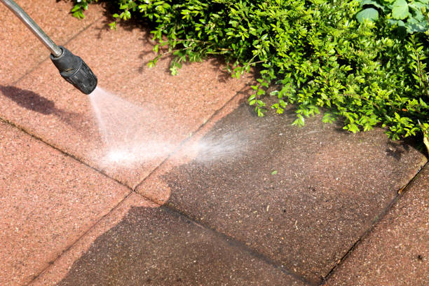 Trusted Stewartville, MN Pressure Washing Experts